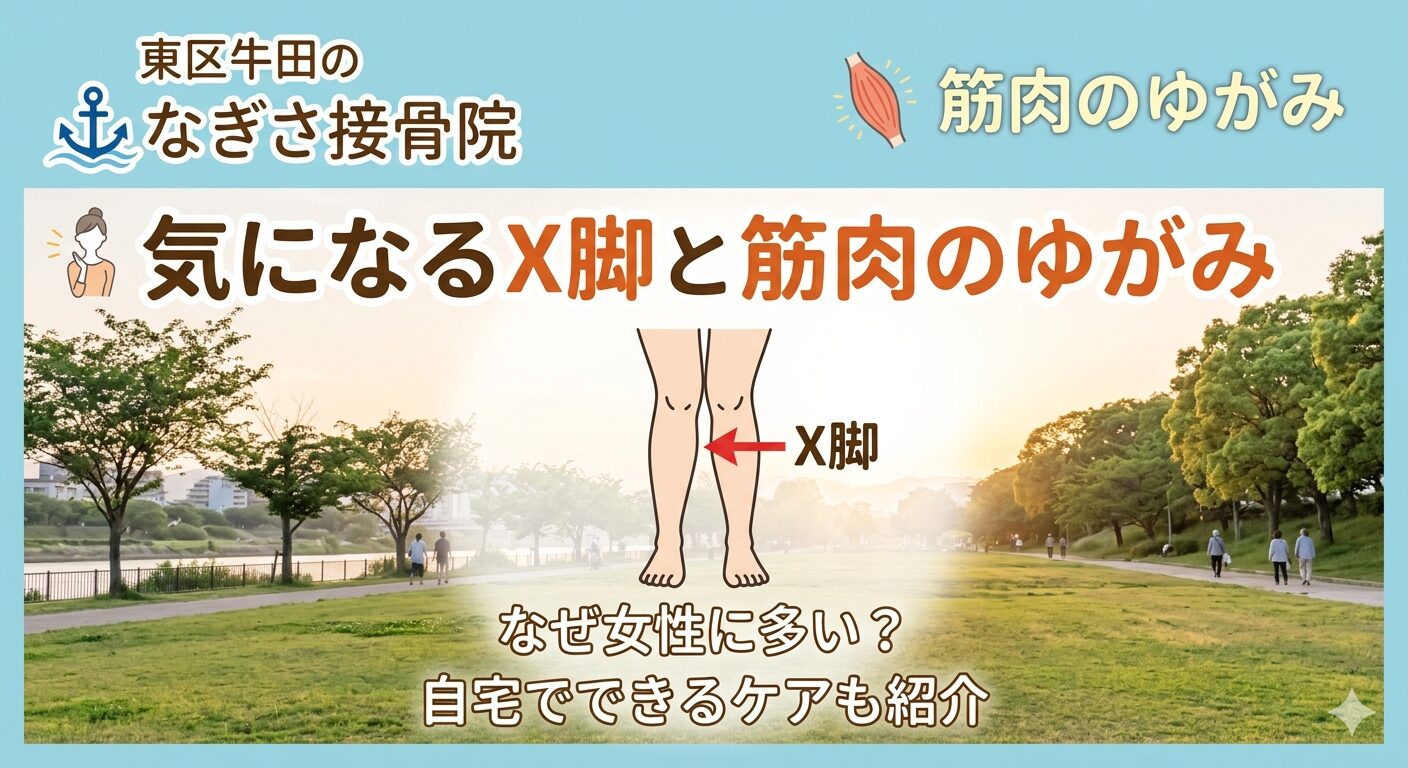 身体のゆがみ。X脚について