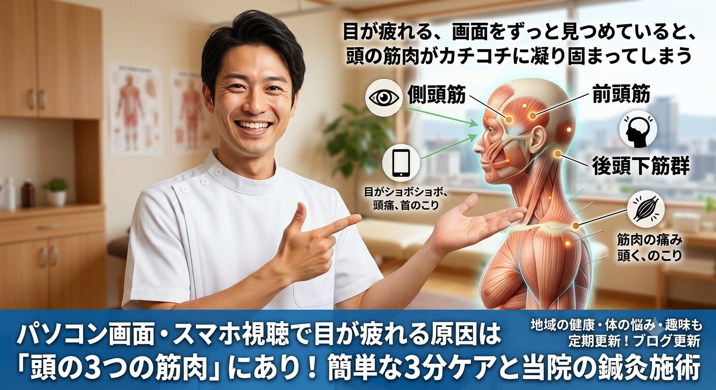 眼精疲労について頭の筋肉。3つのポイント