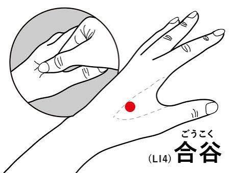 合谷イラスト|無料イラスト・フリー素材なら「イラストAC」